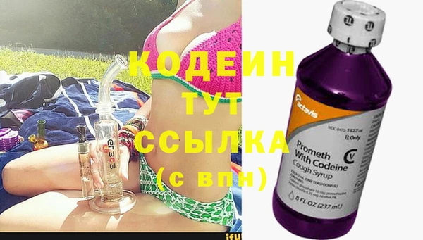 сатива Балахна