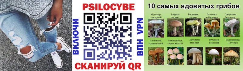купить  цена  Губаха  Галлюциногенные грибы GOLDEN TEACHER 